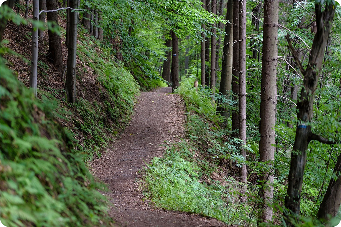 types of mountain bike trails