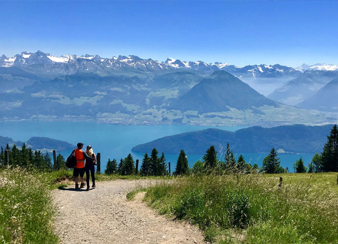 Lucerne Farm Tour and Cheese Tasting