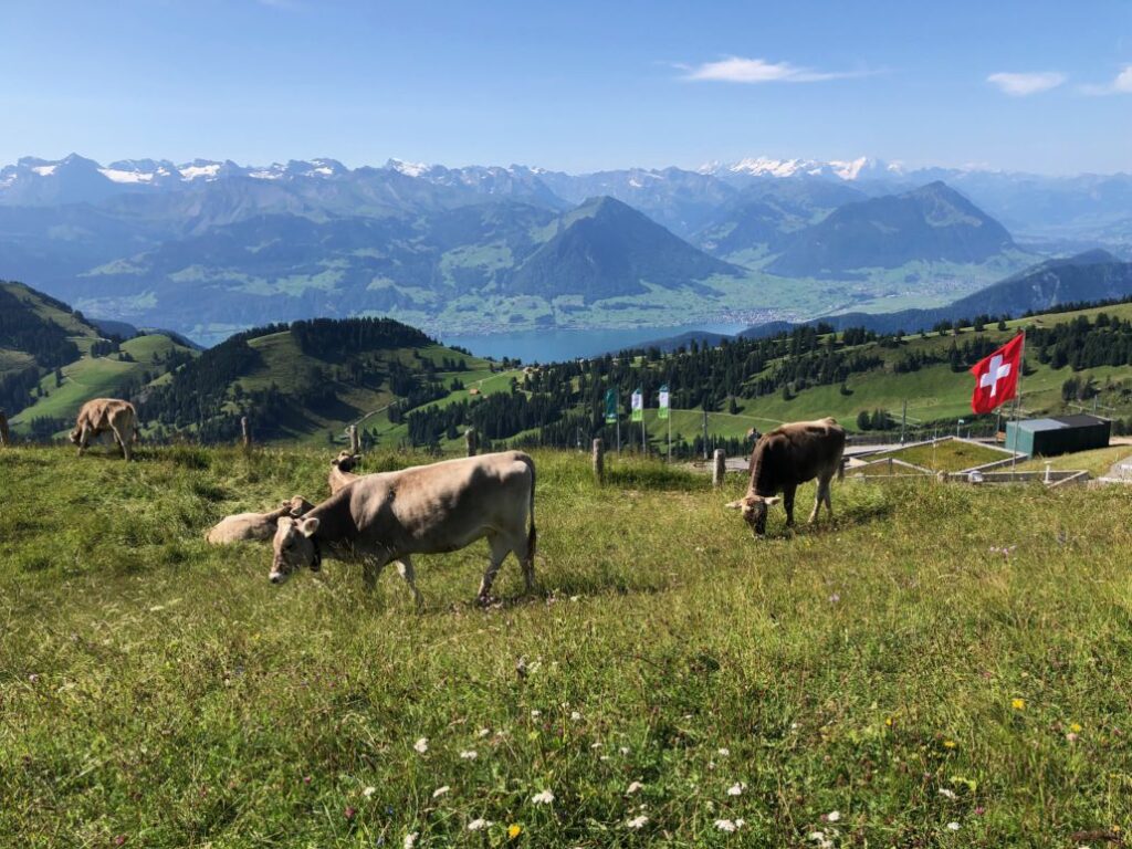 Rail Tour of Switzerland