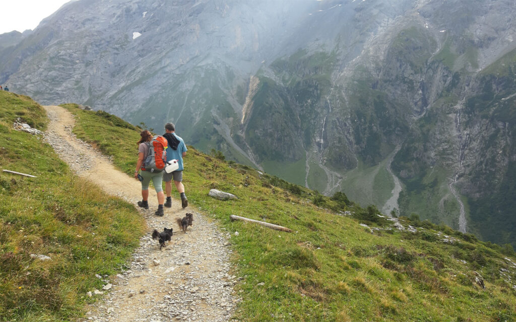 best of the swiss alps hiking tour