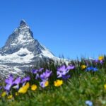 Best of the Swiss Alps: Private Hiking Trip