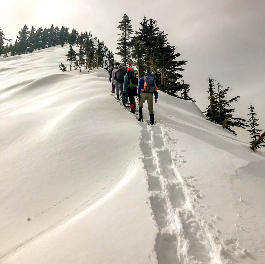 private snowshoe tour in the swiss alps