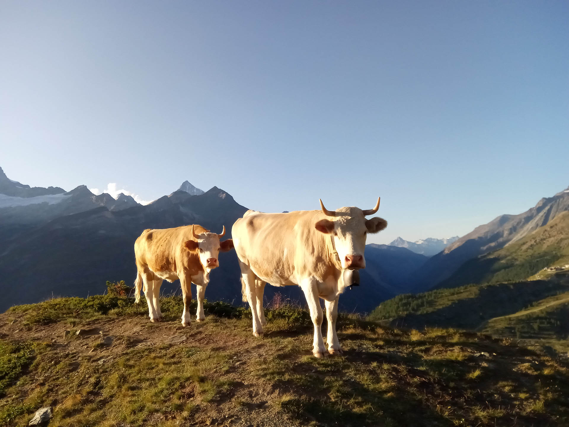 zermatt gornergrat hiking tour