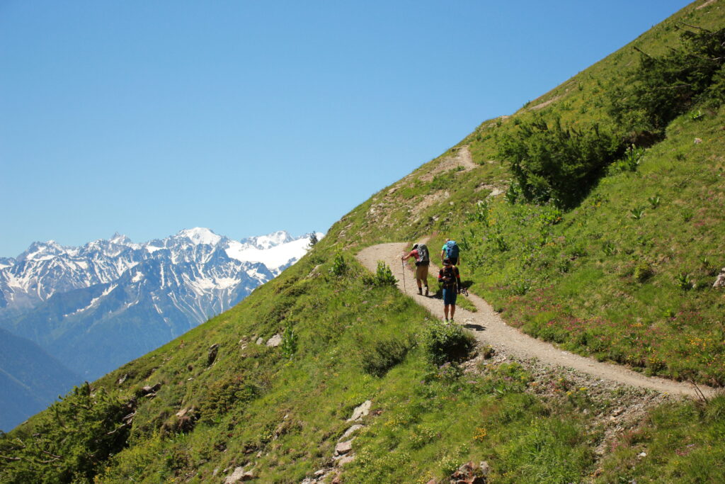 Guided hiking experience in Swiss Alps