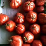 Lucerne Farmers Markets