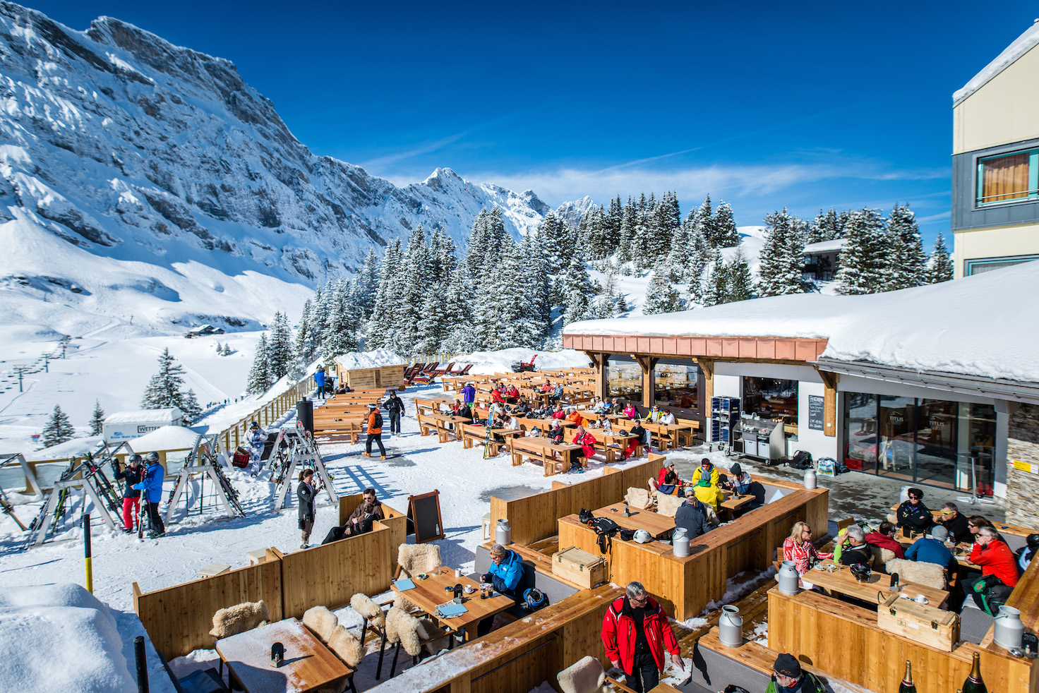 private swiss alps ski trip