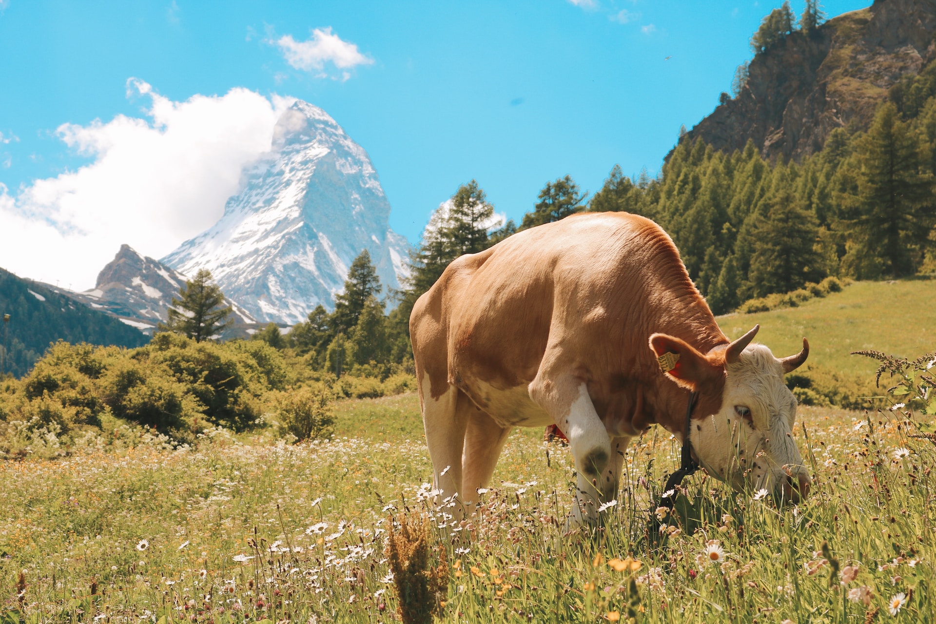 zermatt hiking