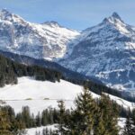 Discover the Jungfrau Region with Grindelwald Ski Packages