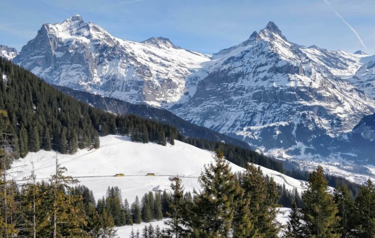 Read more about the article Discover the Jungfrau Region with Grindelwald Ski Packages