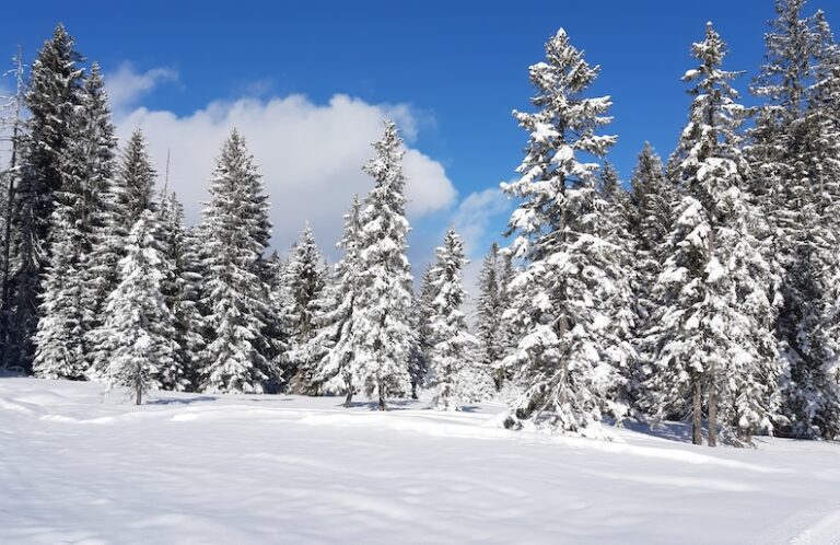 Engelberg ski packages winter