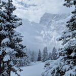 Discover the Magic of Wengen Ski Resort