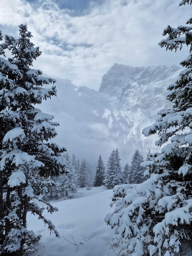 Read more about the article Discover the Magic of Wengen Ski Resort