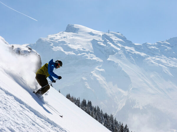 guided swiss alps ski trip