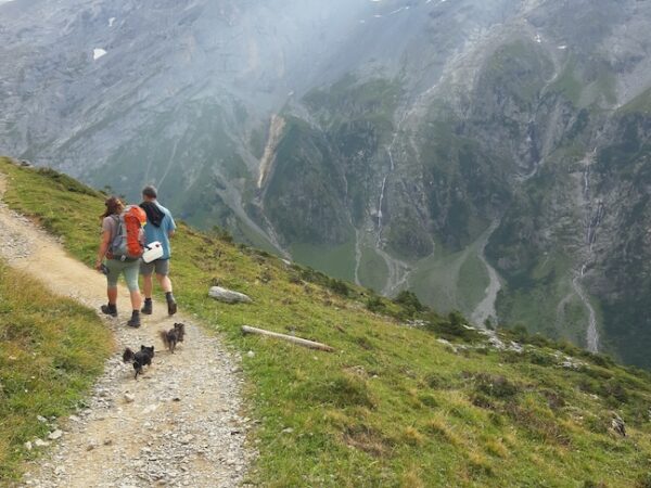 hiking in the swiss alps