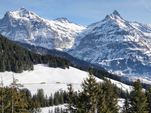 Grindelwald ski packages