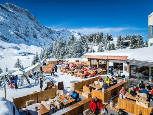 private swiss alps ski trip